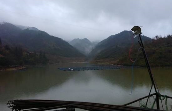 广西三柳高速3标标口大桥工程